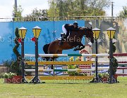 Giordano N Donja Giovanili2013  S5 4480 : Arezzo Equestrian Centre, Donja, Giordano Nicolas, foto di Stefano Secchi ©. Campionati Italiani Giovanili 2013